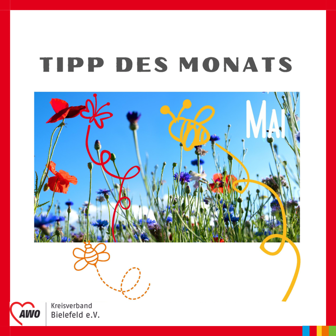 Screenshot des quadratischen Facebook- und Instagram-Posts: Ein roter Rahmen, oben in grauer Schrift "Tipp des Monats", darunter ein Foto mit einer bunten Blumenwiese von unten fotografiert. Darauf gezeichnet ein roter Schmetterling und eine gelbe Biene und der Schriftzug "Mai". Unten links in der Ecke das AWO-Logo und Kreisverband Bielefeld e.V. 